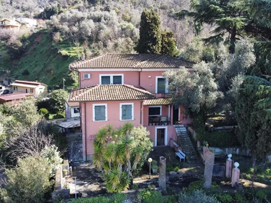 Immagine 4 di Villa in vendita  a Massa