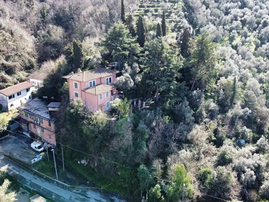 Immagine 18 di Villa in vendita  a Massa