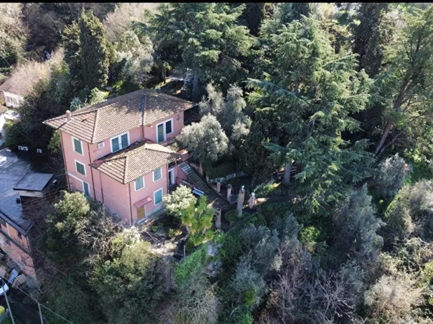 Immagine 16 di Villa in vendita  a Massa