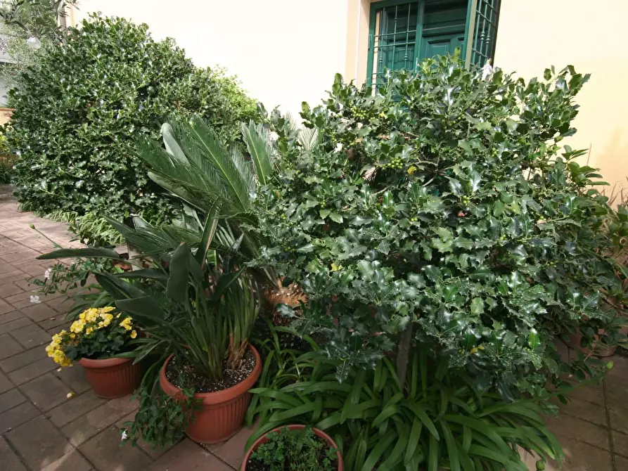 Immagine 3 di Villa in vendita  a Carrara