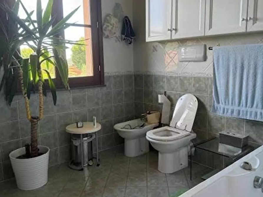 Immagine 13 di Casa bifamiliare in vendita  a Calci