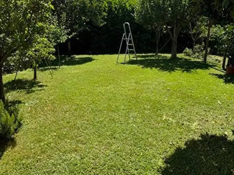 Immagine 5 di Casa bifamiliare in vendita  a Calci