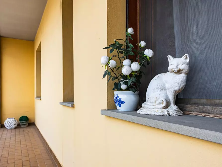 Immagine 24 di Appartamento in vendita  a Cascina