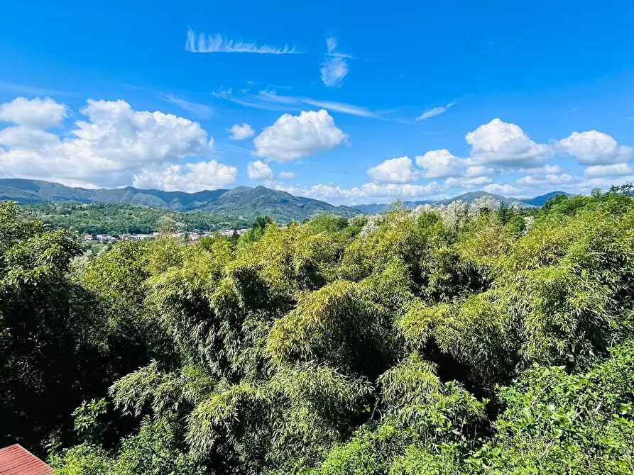 Immagine 22 di Casa semindipendente in vendita  a Aulla
