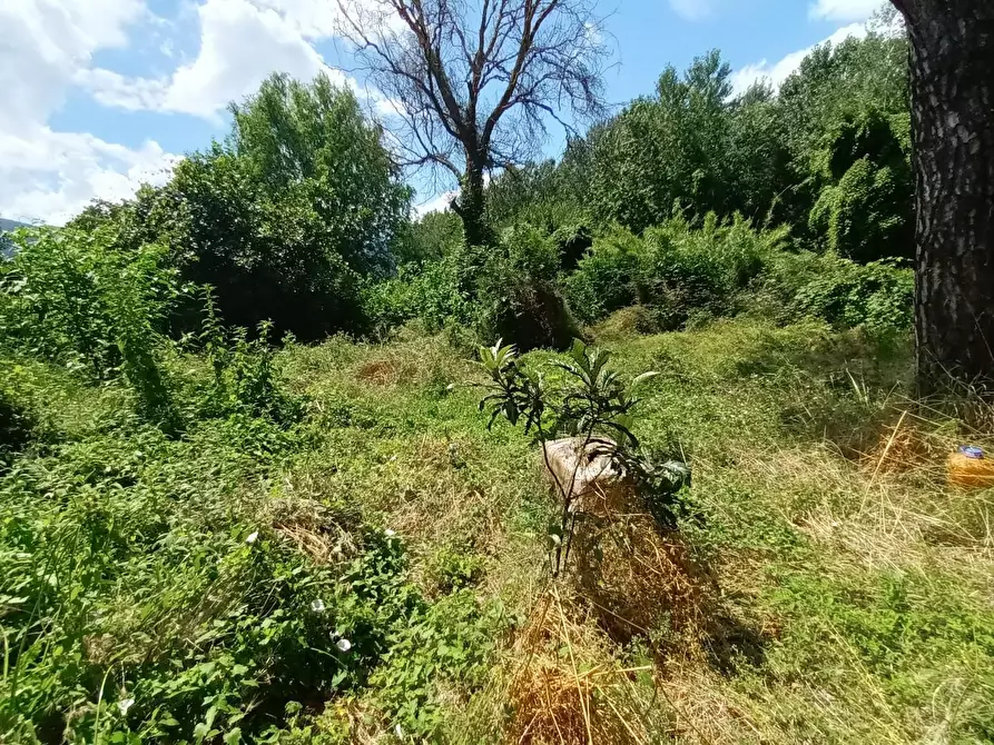 Immagine 4 di Deposito in vendita  a Lucca
