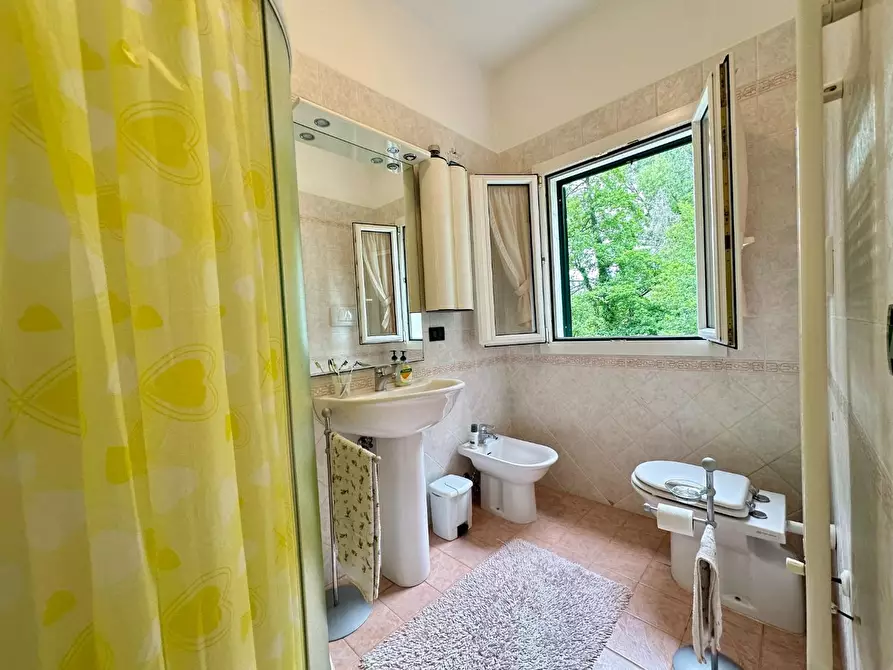 Immagine 49 di Villa in vendita  a Massa