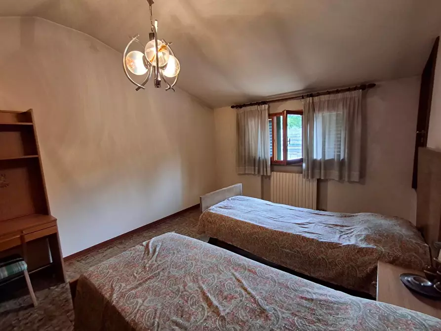 Immagine 20 di Terratetto in vendita  a Capraia E Limite