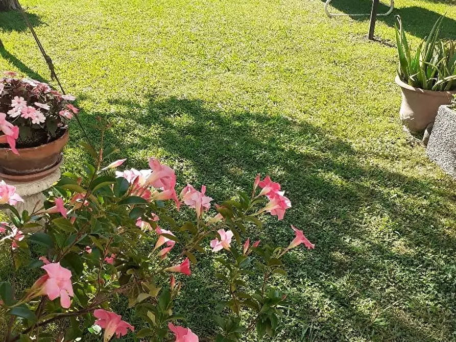 Immagine 24 di Appartamento in vendita  a Massa