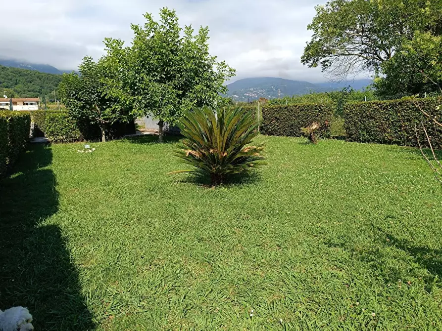 Immagine 4 di Casa semindipendente in vendita  a Massa