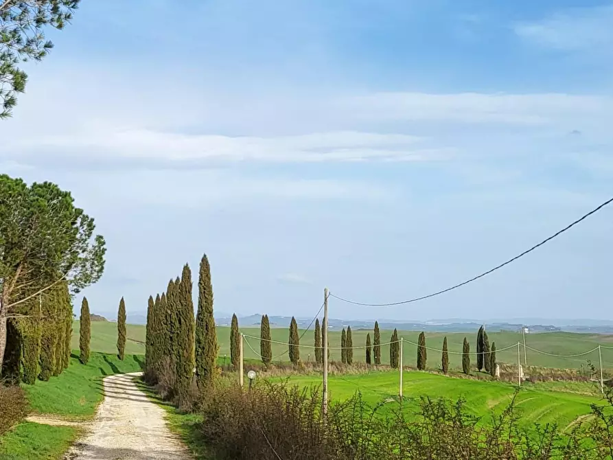 Immagine 1 di Terratetto in vendita  a Monteroni D'arbia