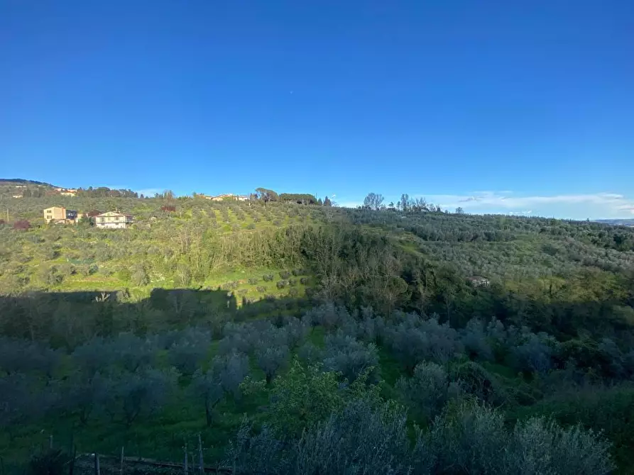 Immagine 37 di Appartamento in vendita  a Vinci