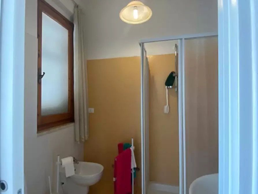 Immagine 20 di Appartamento in vendita  a Vinci