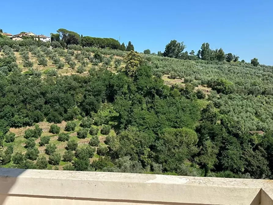 Immagine 40 di Appartamento in vendita  a Vinci