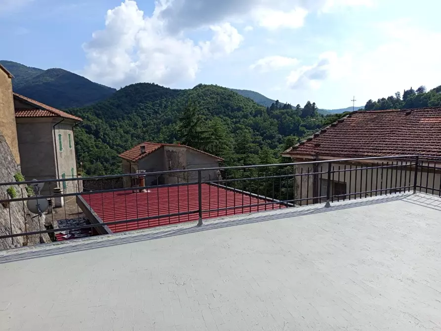 Immagine 15 di Terratetto in vendita  a Fosdinovo