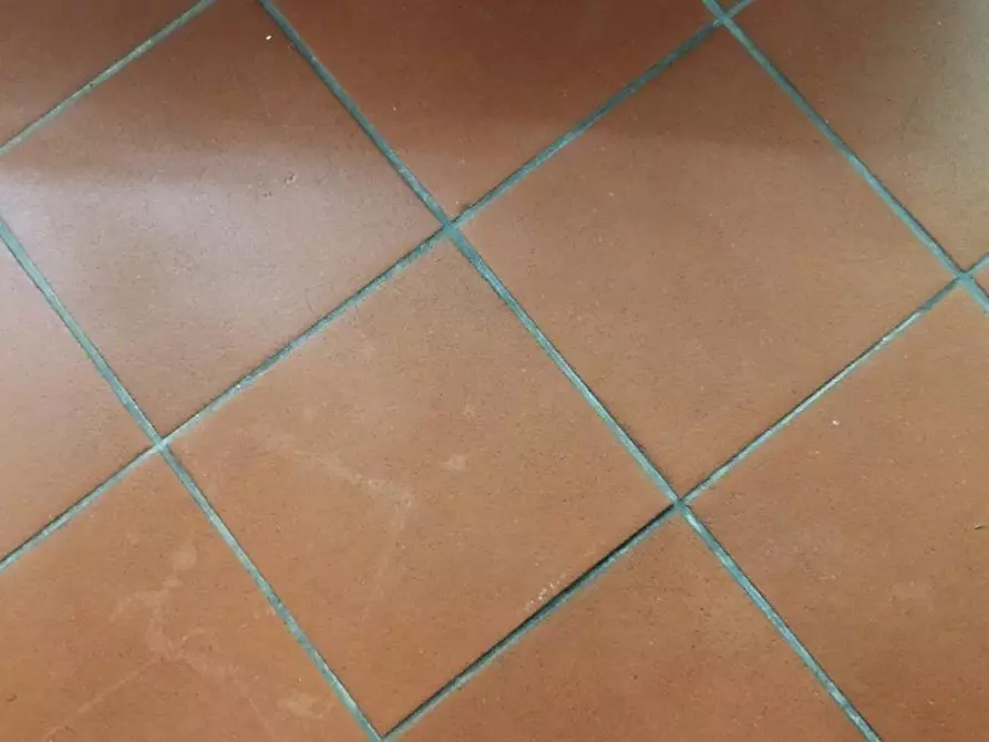 Immagine 11 di Casa semindipendente in vendita  a Grosseto