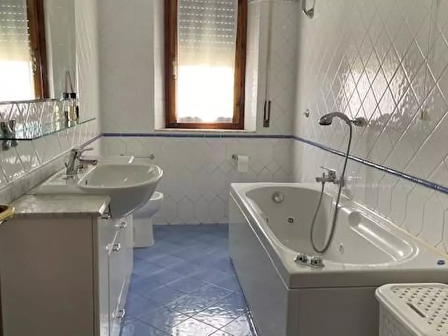 Immagine 7 di Appartamento in affitto  a Pisa