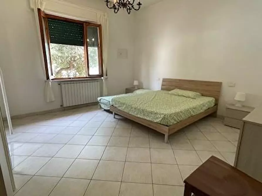 Immagine 11 di Appartamento in affitto  a Pisa