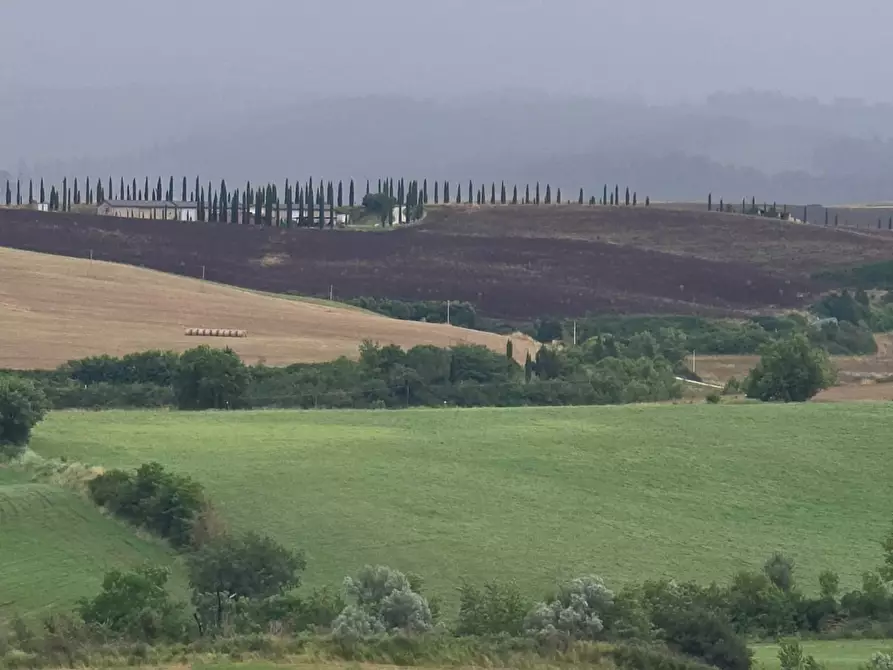 Immagine 1 di Appartamento in vendita  a Monteroni D'arbia