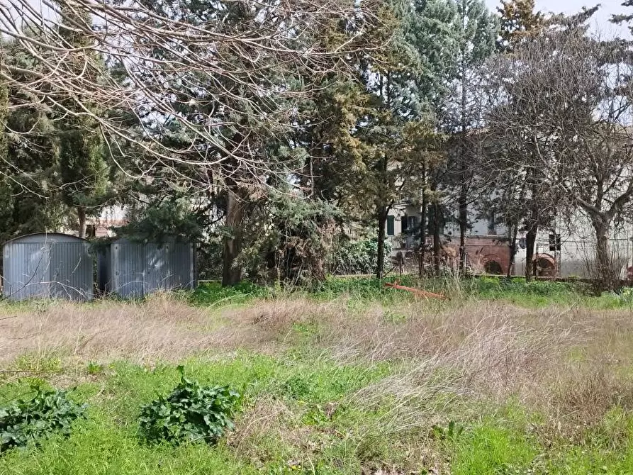 Immagine 19 di Villa in vendita  a Civitella Paganico