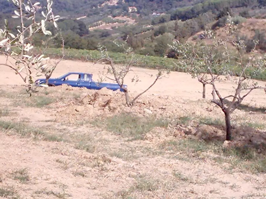 Immagine 2 di Terreno agricolo in vendita  a Casciana Terme Lari