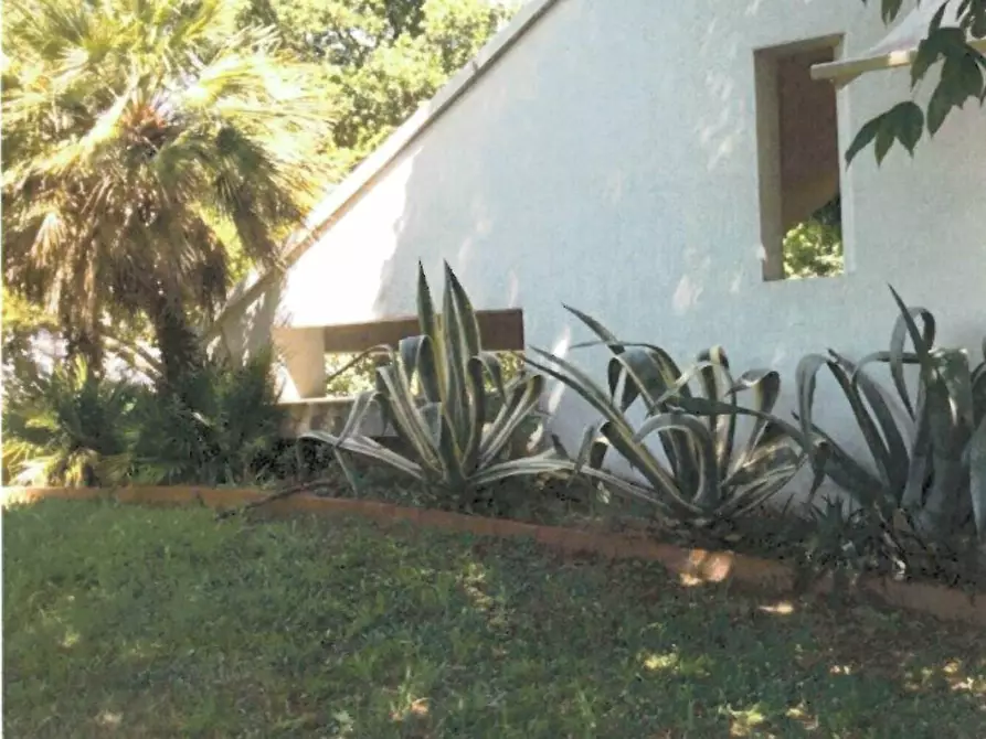 Immagine 30 di Villa in vendita  a Peccioli