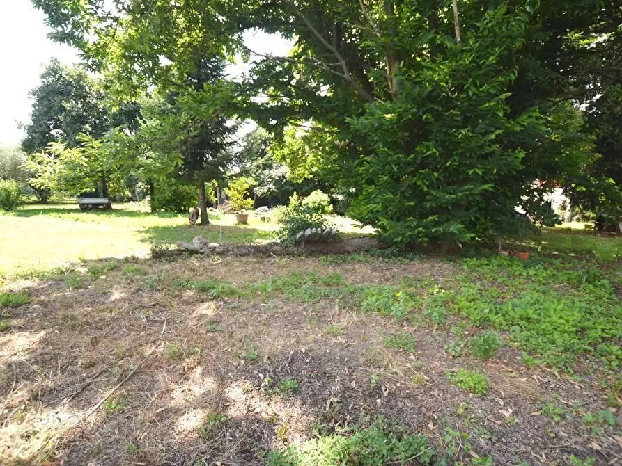 Immagine 3 di Terratetto in vendita  a Capannori