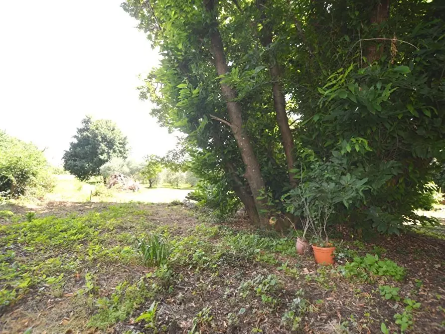 Immagine 4 di Terratetto in vendita  a Capannori