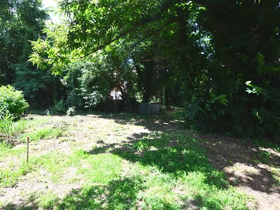 Immagine 2 di Terratetto in vendita  a Capannori