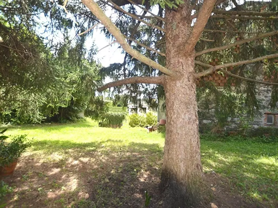 Immagine 5 di Terratetto in vendita  a Capannori