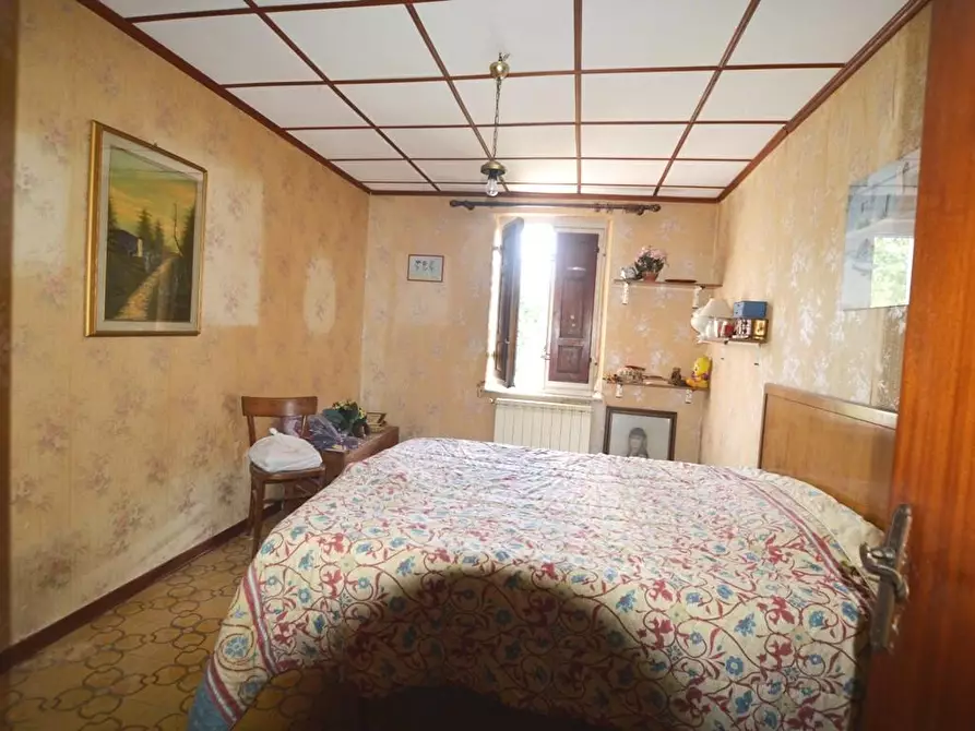 Immagine 18 di Terratetto in vendita  a Capannori