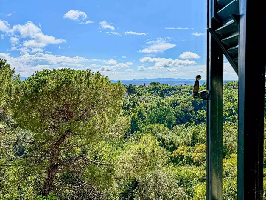 Immagine 7 di Appartamento in vendita  a Palaia