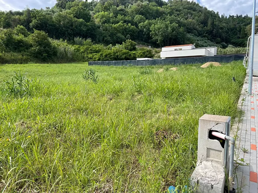 Immagine 1 di Terreno residenziale in vendita  a Palaia