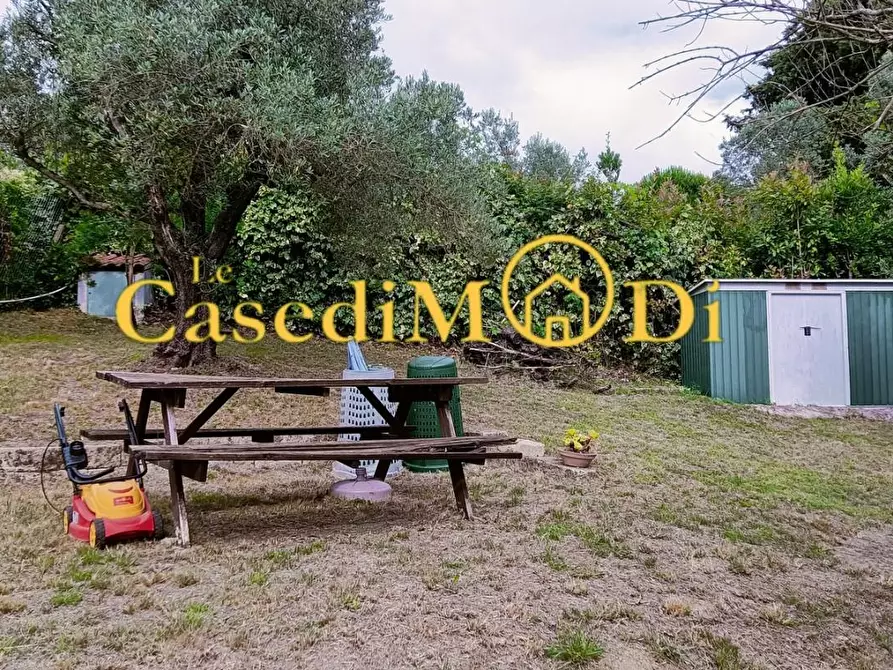 Immagine 6 di Terreno agricolo in vendita  a Livorno