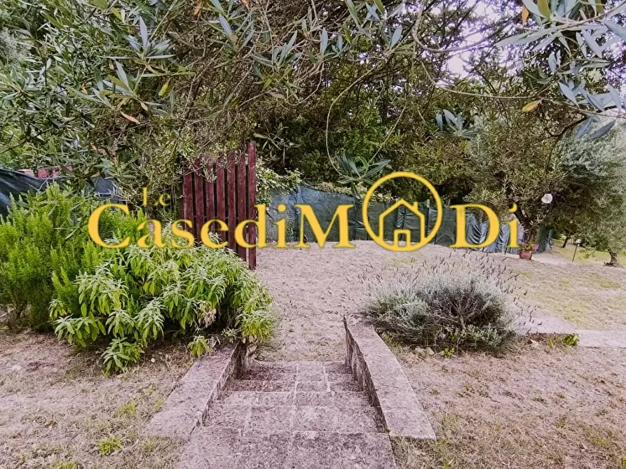 Immagine 2 di Terreno agricolo in vendita  a Livorno