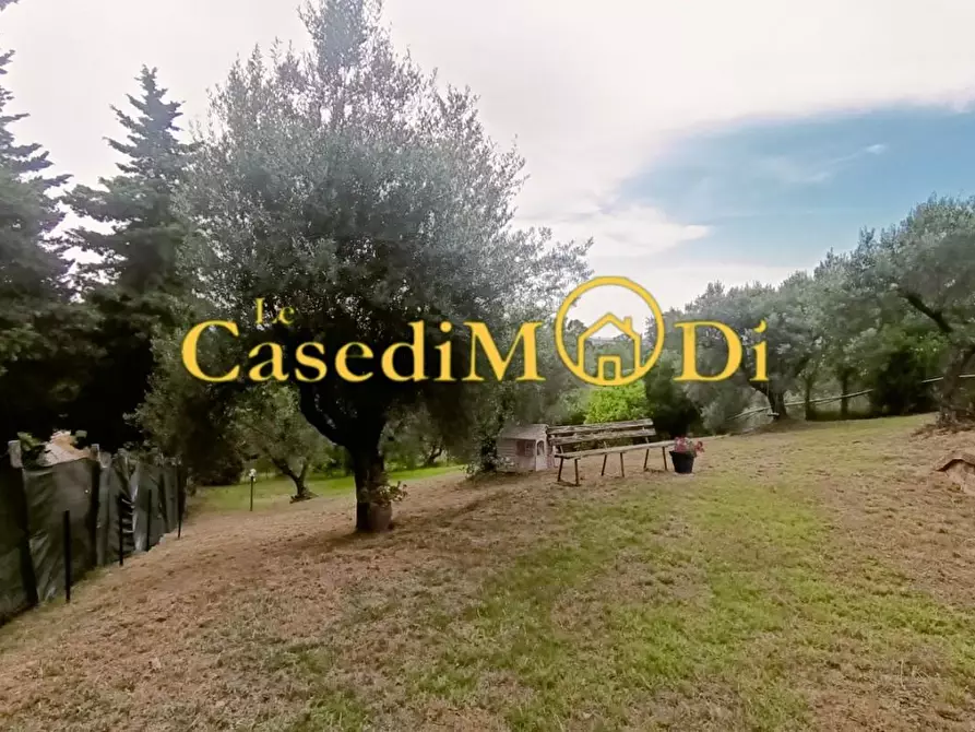 Immagine 10 di Terreno agricolo in vendita  a Livorno