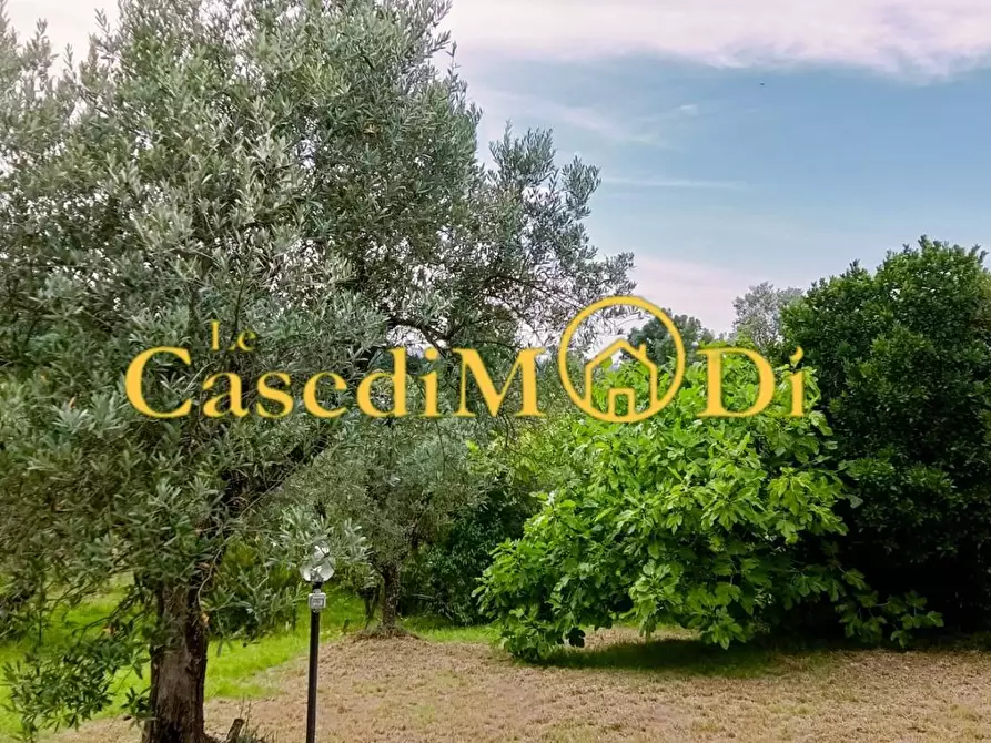 Immagine 7 di Terreno agricolo in vendita  a Livorno