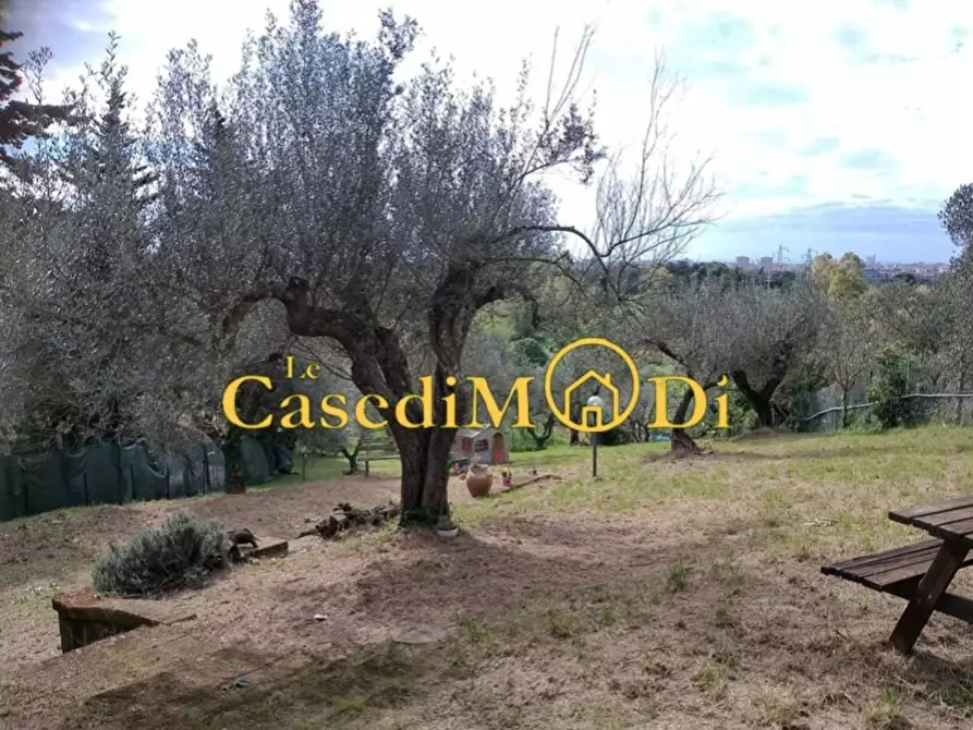 Immagine 11 di Terreno agricolo in vendita  a Livorno