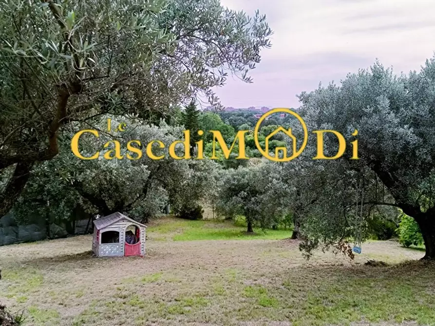 Immagine 3 di Terreno agricolo in vendita  a Livorno