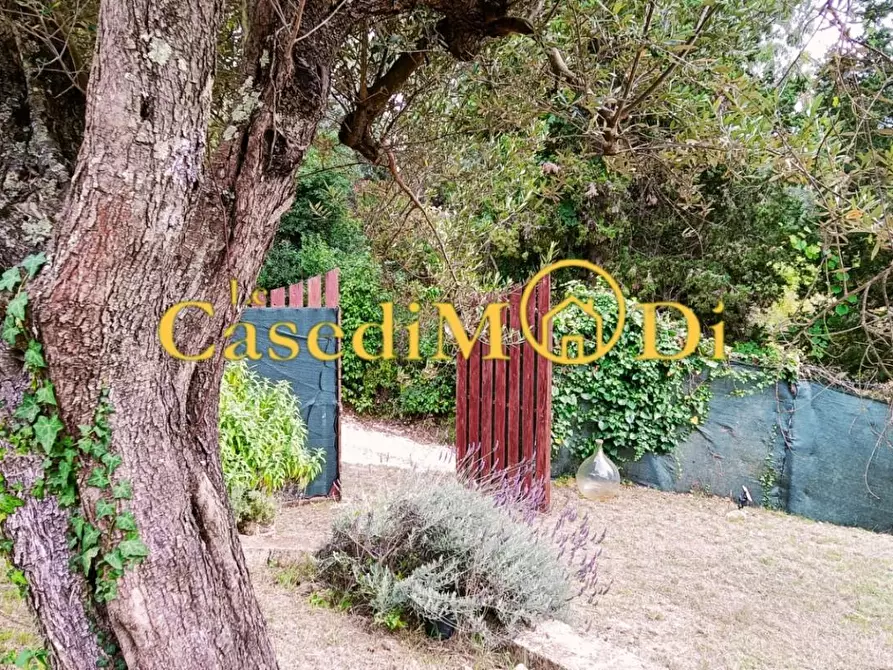 Immagine 5 di Terreno agricolo in vendita  a Livorno