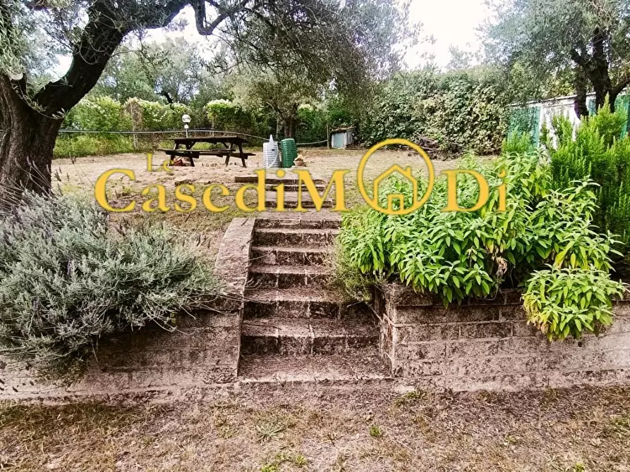 Immagine 8 di Terreno agricolo in vendita  a Livorno