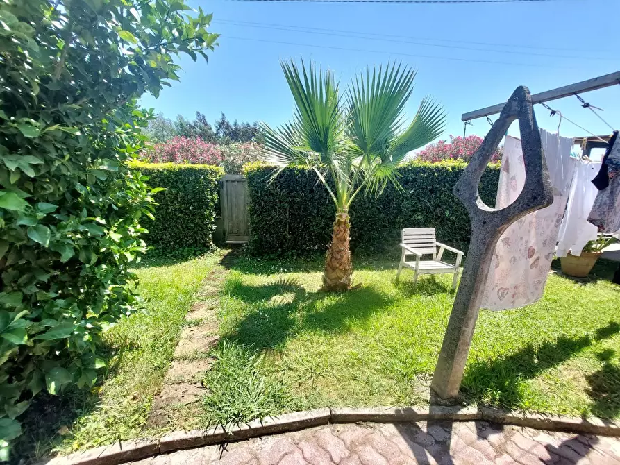 Immagine 3 di Villa in vendita  a Pietrasanta