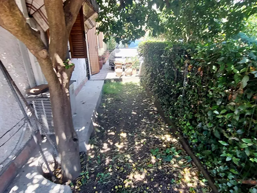 Immagine 30 di Villa in vendita  a Pietrasanta