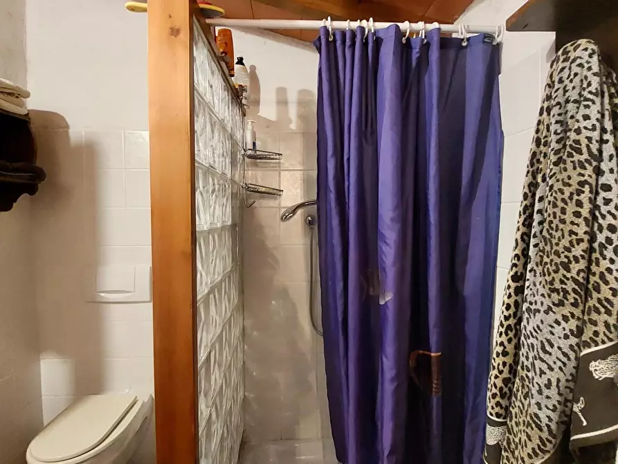 Immagine 11 di Villa in vendita  a Pietrasanta