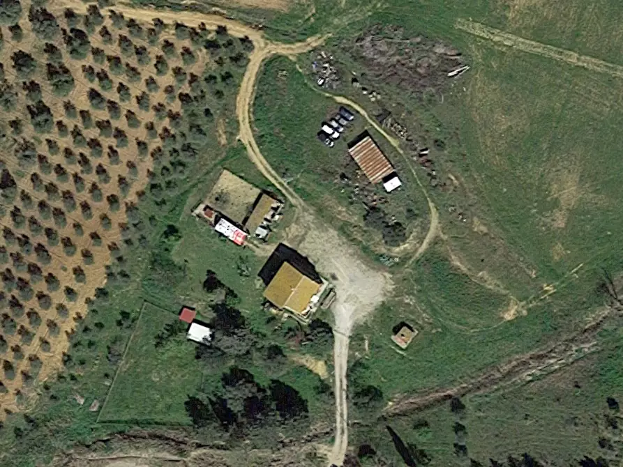 Immagine 3 di Azienda agricola in vendita  a Magliano In Toscana