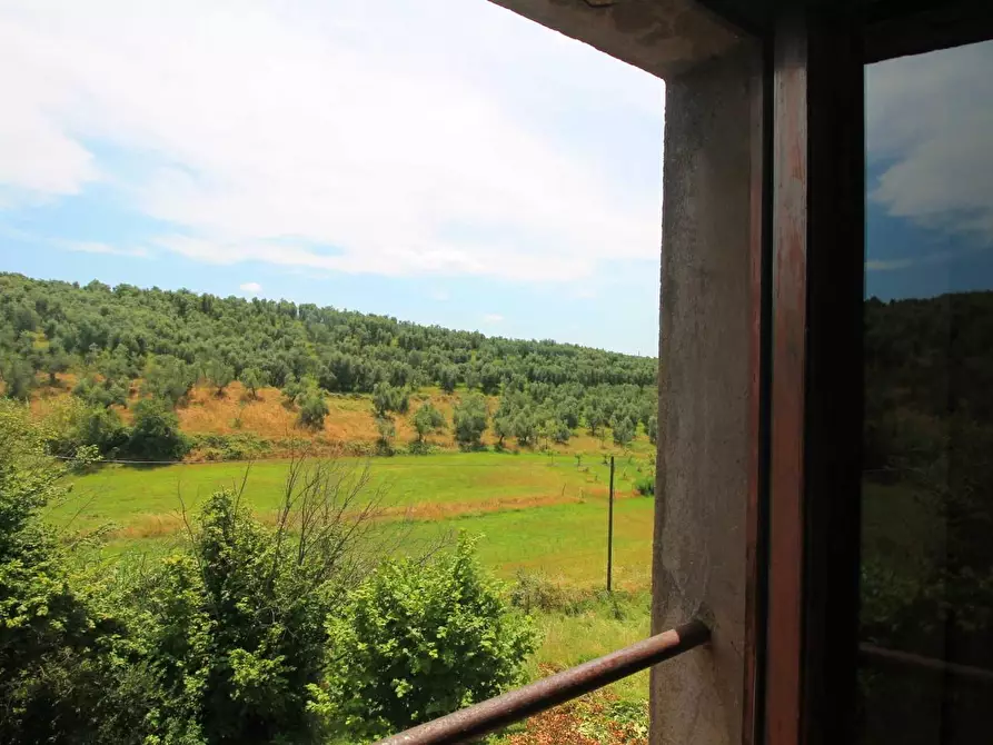 Immagine 35 di Casa colonica in vendita  a Larciano