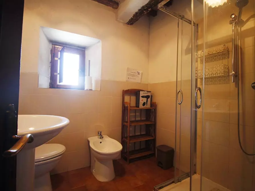 Immagine 31 di Casa colonica in vendita  a Larciano