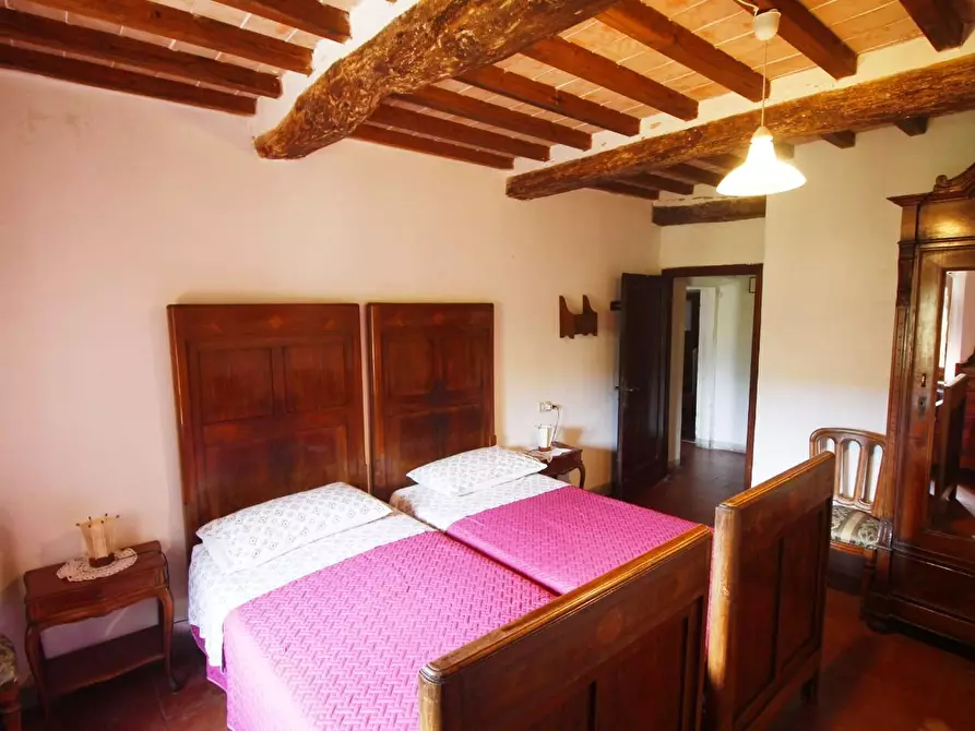 Immagine 32 di Casa colonica in vendita  a Larciano