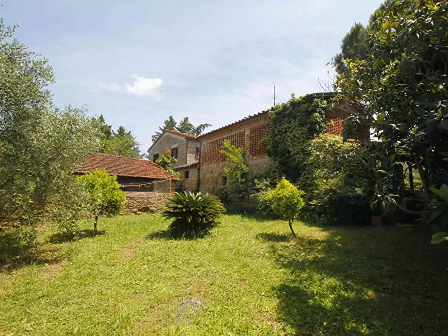 Immagine 14 di Casa colonica in vendita  a Larciano