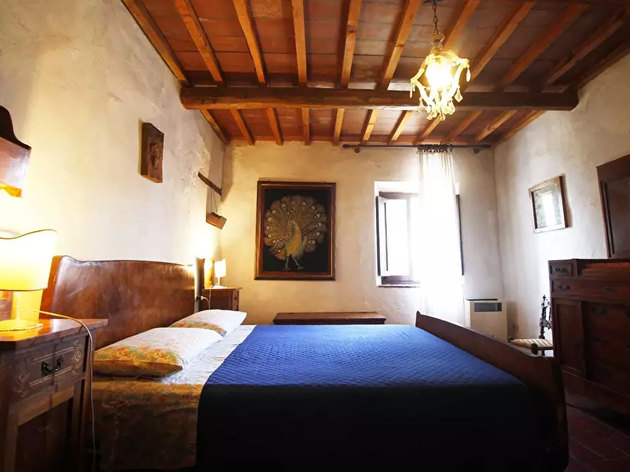 Immagine 28 di Casa colonica in vendita  a Larciano