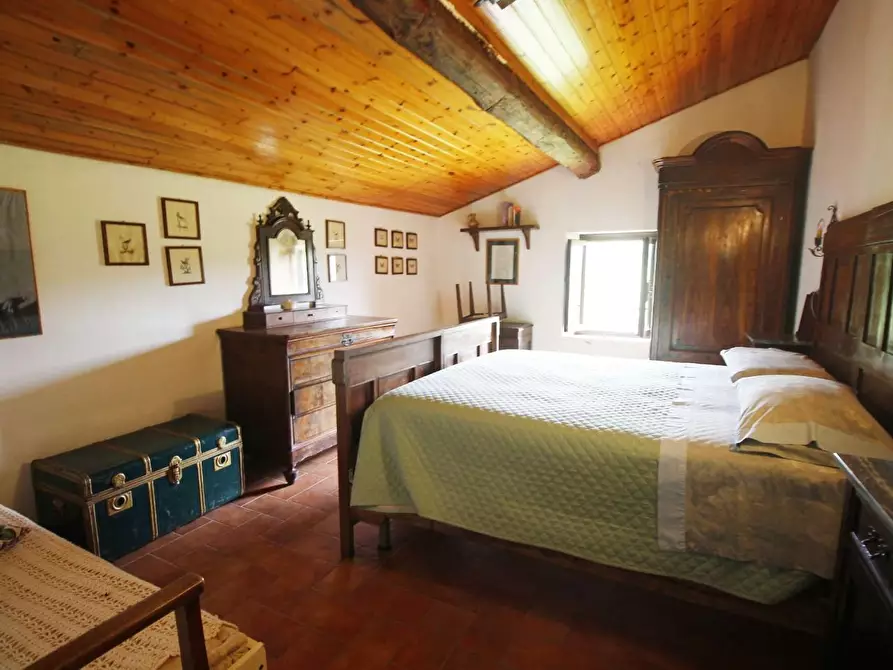 Immagine 48 di Casa colonica in vendita  a Larciano